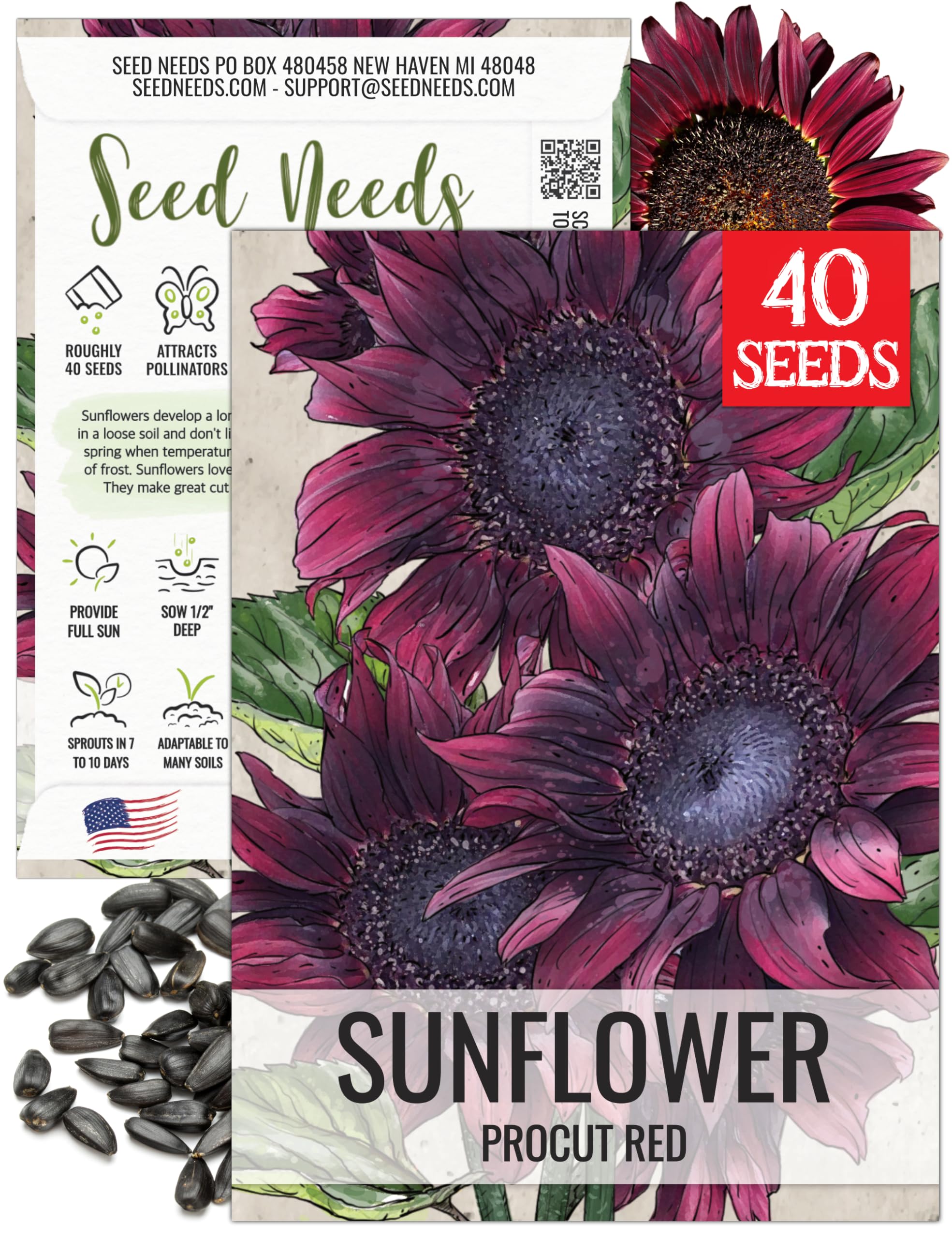 Amazon.com : Seed Needs Procut Red Sunflower Seeds for Planting